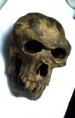 /album/projetos-especiais/caveiraunder-jpg/