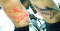 /album/tatuagens-em-andamento/a297100-269138529784461-100000649495998-865931-1785835426-n-jpg/