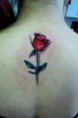 /album/tatuagens-comerciais/a381075-295486470483000-100000649495998-956196-1167259047-n-jpg/