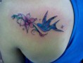 /album/tatuagens-comerciais/a388757-293709840660663-100000649495998-952380-850257929-n-jpg/