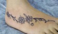 /album/tatuagens-comerciais/a429231-337201776311469-100000649495998-1076894-779519047-n-jpg/
