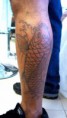 /album/tatuagens-em-andamento/a384962-307176655980648-100000649495998-984791-370839112-n-jpg/