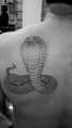 /album/tatuagens-em-andamento/a384989-301524936545820-100000649495998-970129-269904285-n-jpg/