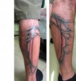 /album/tatuagens-em-andamento/a531426-322167177837198-100001317555752-822479-928099632-n-jpg/